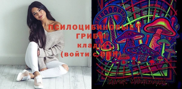 спиды Абаза