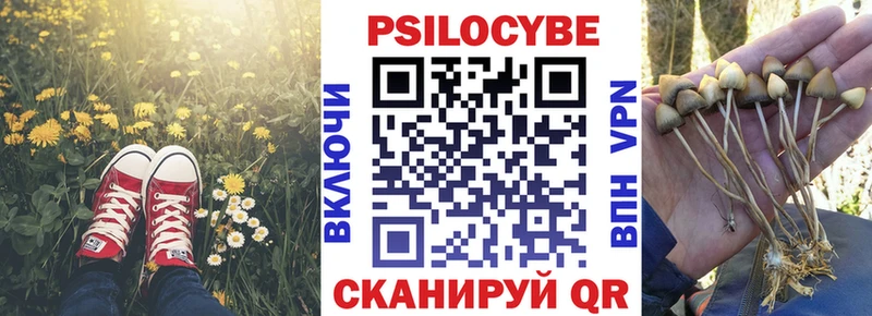Псилоцибиновые грибы Magic Shrooms  наркотики  нарко площадка наркотические препараты  Нальчик 